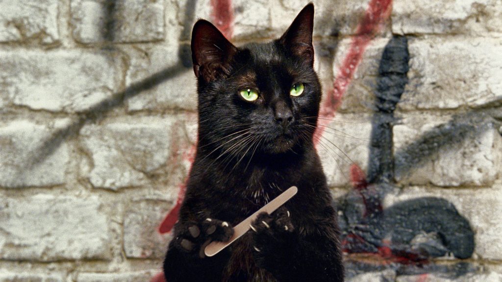 Cravendale advert cats 2025